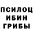 Псилоцибиновые грибы прущие грибы LEMON SQUAD