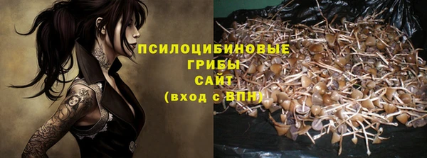 ешки Алексеевка