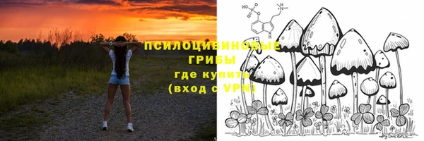 ешки Алексеевка